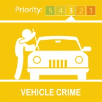 Vehicle Crime Logo