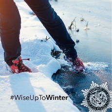 Wise up to winter logo